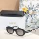 Dior Sunglasses AAA (488)