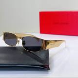 YSL Sunglasses AAA (20)