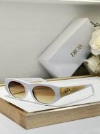 Dior Sunglasses AAA (893)