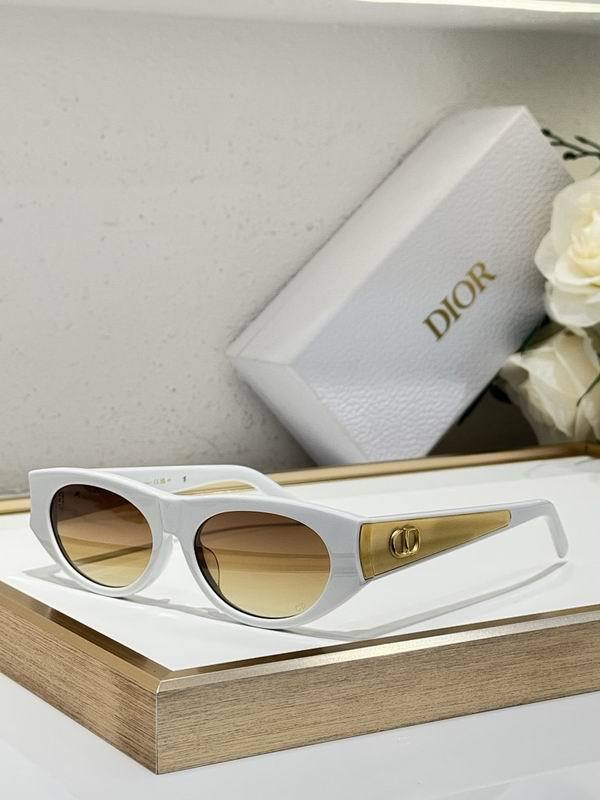 Dior Sunglasses AAA (893)