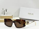 Dior Sunglasses AAA (219)