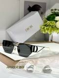 Dior Sunglasses AAA (439)