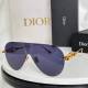 Dior Sunglasses AAA (1030)
