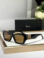 Dior Sunglasses AAA (862)