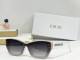 Dior Sunglasses AAA (435)