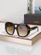 Tom Ford Sunglasses AAA (546)