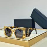 YSL Sunglasses AAA (292)