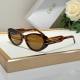 Dior Sunglasses AAA (53)