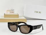 Dior Sunglasses AAA (369)