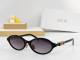Dior Sunglasses AAA (1207)