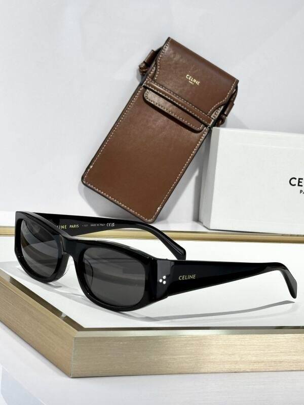 YSL Sunglasses AAA (59)