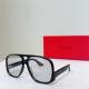 YSL Sunglasses AAA (476)