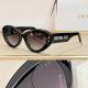 Dior Sunglasses AAA (1177)