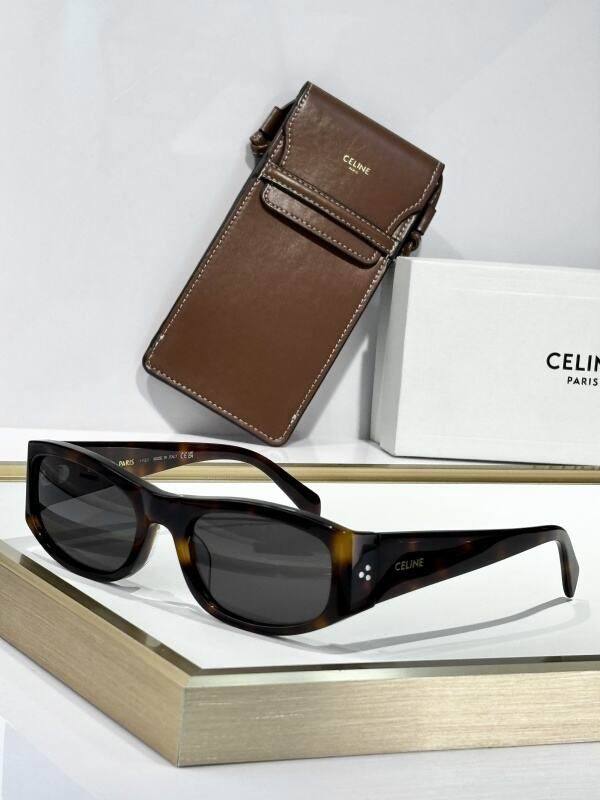 YSL Sunglasses AAA (62)