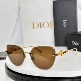 Dior Sunglasses AAA (499)