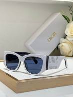 Dior Sunglasses AAA (197)