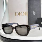 Dior Sunglasses AAA (263)