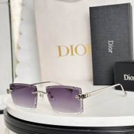 Dior Sunglasses AAA (1231)