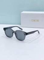 Dior Sunglasses AAA (844)