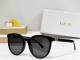 Dior Sunglasses AAA (450)