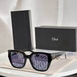 Dior Sunglasses AAA (1029)