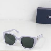 Dior Sunglasses AAA (101)