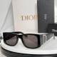 Dior Sunglasses AAA (188)
