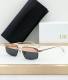 Dior Sunglasses AAA (134)