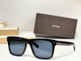 Tom Ford Sunglasses AAA (597)