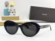Tom Ford Sunglasses AAA (1361)