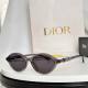 Dior Sunglasses AAA (1010)