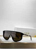 Dior Sunglasses AAA (1055)