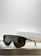 Dior Sunglasses AAA (1055)