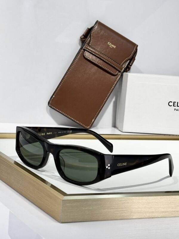 YSL Sunglasses AAA (63)