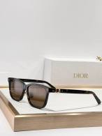 Dior Sunglasses AAA (1173)