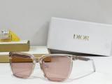 Dior Sunglasses AAA (466)
