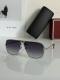 Tom Ford Sunglasses AAA (733)