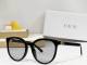 Dior Sunglasses AAA (452)