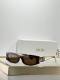 Dior Sunglasses AAA (796)
