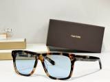 Tom Ford Sunglasses AAA (600)