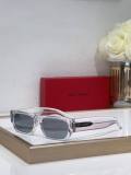 YSL Sunglasses AAA (118)