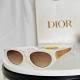 Dior Sunglasses AAA (1157)
