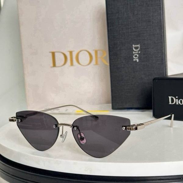 Dior Sunglasses AAA (938)