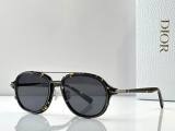 Dior Sunglasses AAA (29)