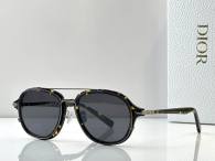 Dior Sunglasses AAA (29)