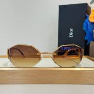 Dior Sunglasses AAA (1121)