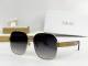 Dior Sunglasses AAA (1003)