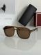 Tom Ford Sunglasses AAA (1193)