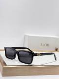 Dior Sunglasses AAA (1166)