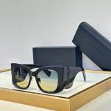 YSL Sunglasses AAA (291)